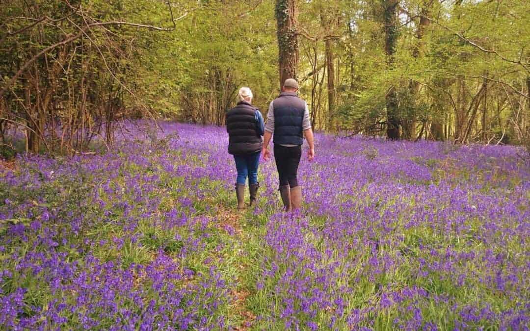 Bluebell Walk raises £1,579.65 for 2 Million Steps!